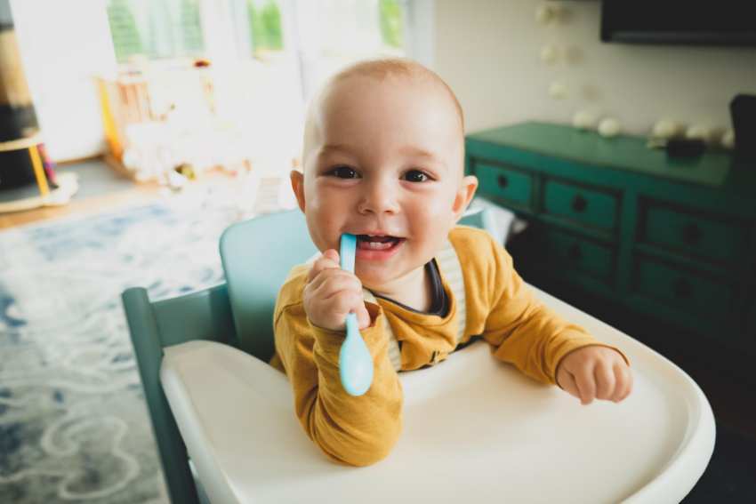dieta jedzenie metoda blw dziecko niemowlak przyjemność